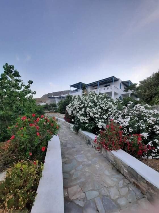 Medusa Accommodation Livadakia المظهر الخارجي الصورة